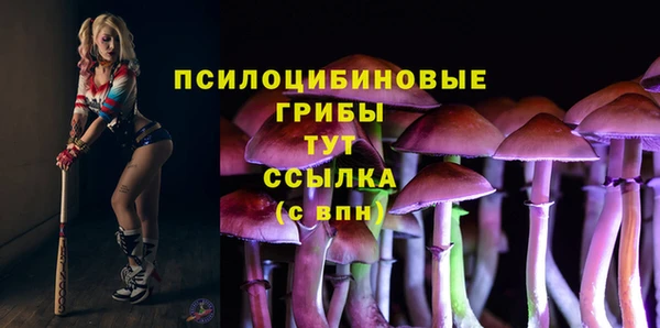 а пвп мука Балахна