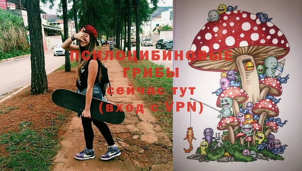 а пвп мука Балахна