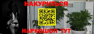 ПСИЛОЦИБИНОВЫЕ ГРИБЫ Балахна