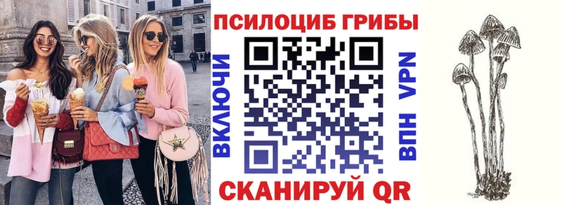 мега сайт где найти наркотики Гай Галлюциногенные грибы мухоморы