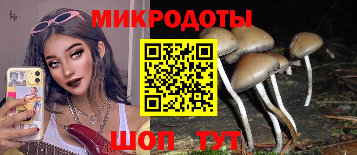 Псилоцибиновые грибы Magic Shrooms  Псилоцибиновые грибы Psilocybe  Гай 