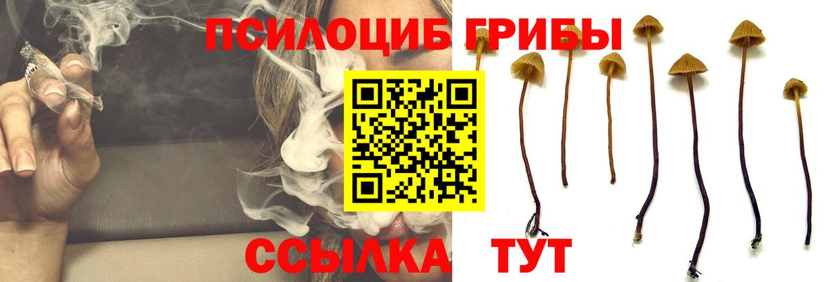 Галлюциногенные грибы GOLDEN TEACHER Гай