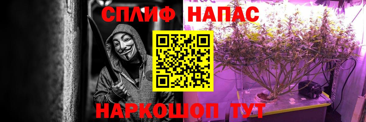 МАРИХУАНА семена  Каннабис MAZAR  Бошки Шишки SATIVA & INDICA  Конопля семена  Гай 