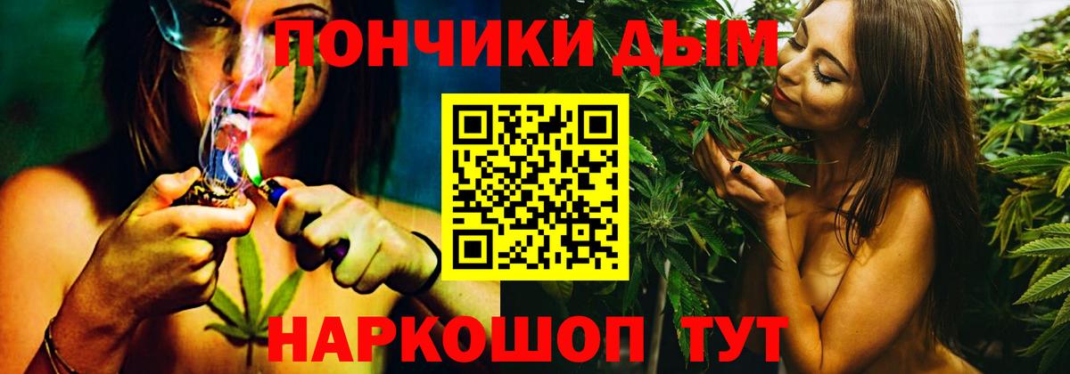 Шишки марихуана сатива Гай